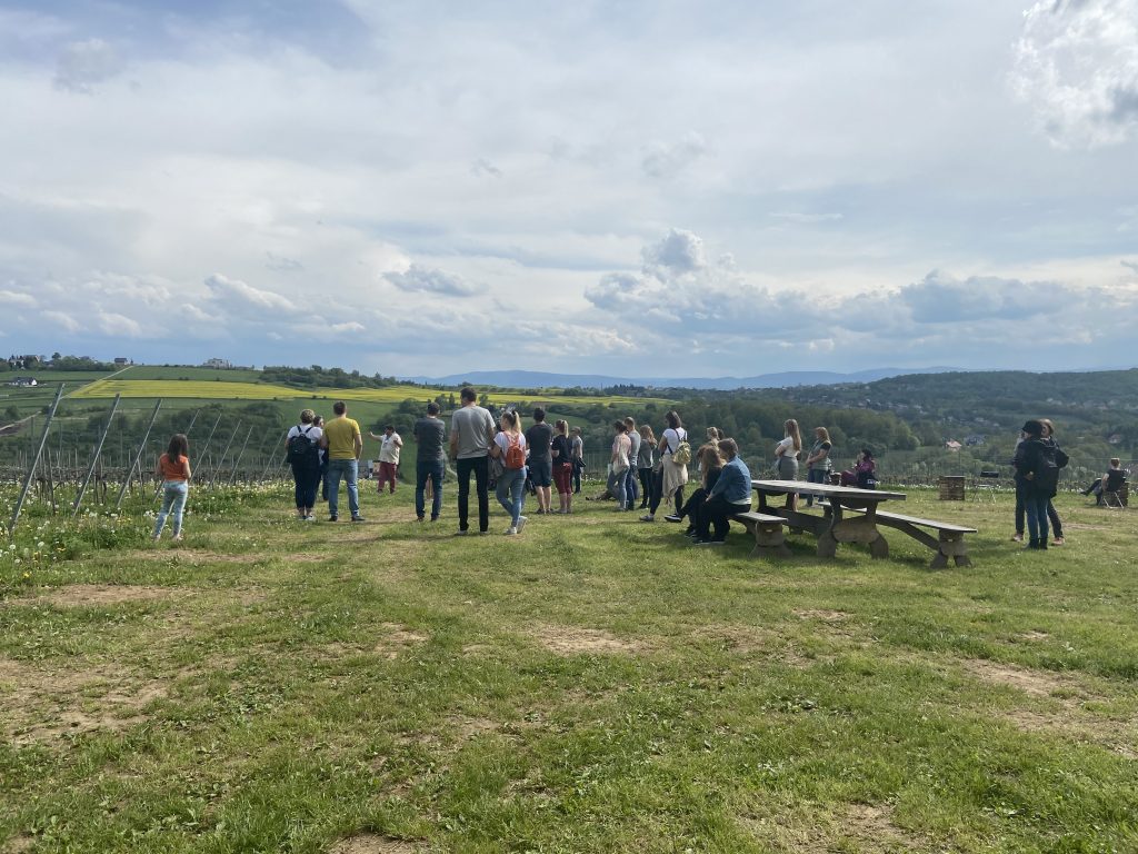 IMG-0447
