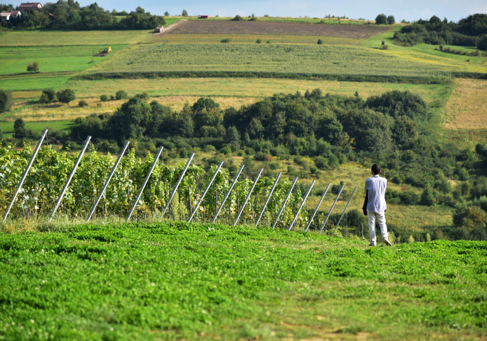 FOTO Rogalska